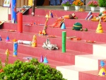 DSCN7263.JPG
